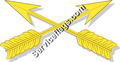Special Forces Insignia