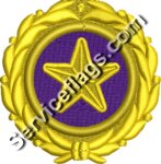 Gold Star Pin Embroidery Image 