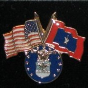 Air Force Veterans Flag Pin