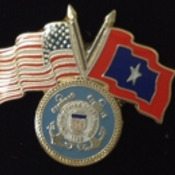USCG Veterans Flag Pin